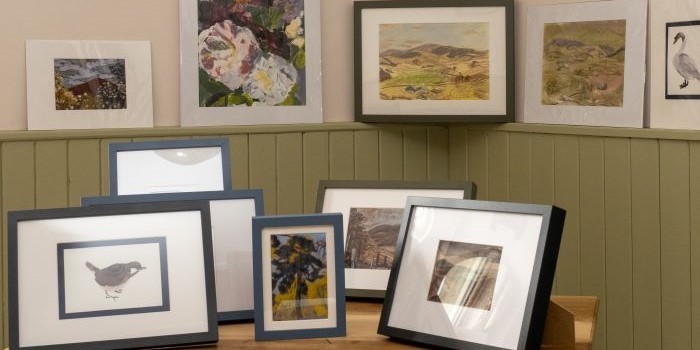 Framed and mounted pictures arranged on a table and wall